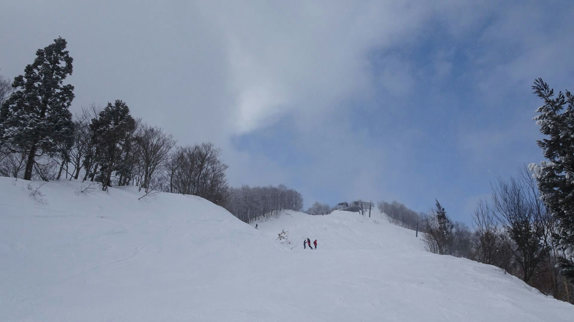 美しき雪景色を満喫！極上のスキーツアー体験